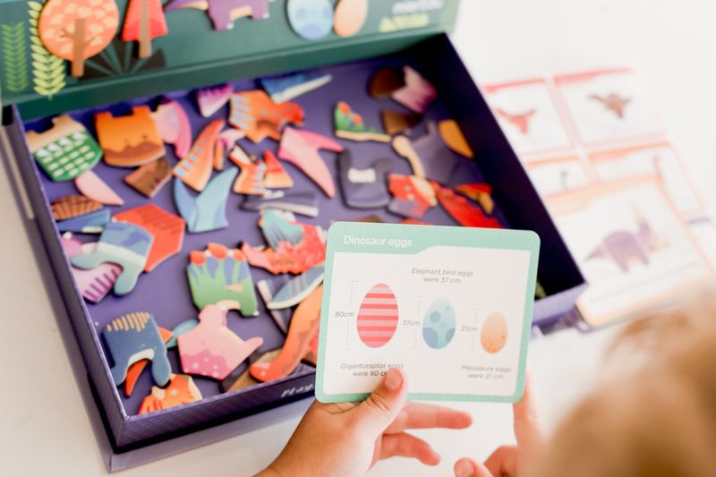 Magnetic-Art-Case--Dino-World_3