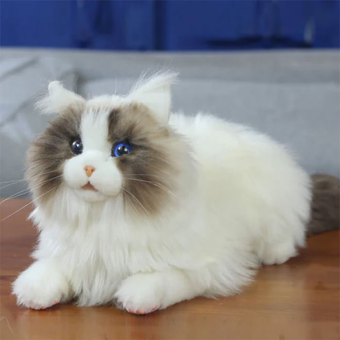 metacat_1.jpg