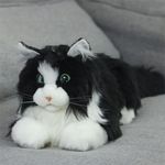 metacat_2.jpg
