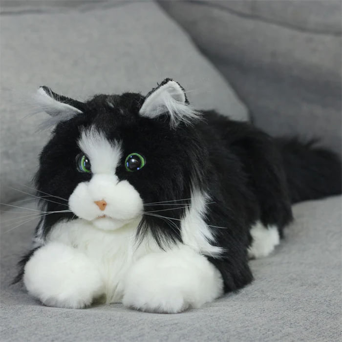 metacat_2.jpg