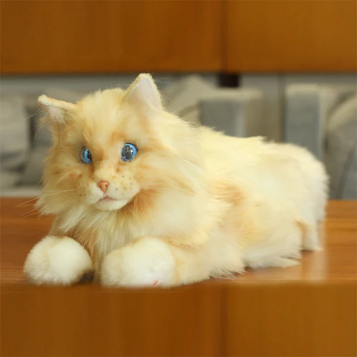 metacat_3.jpg