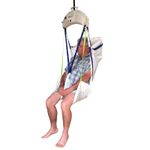 premier-sling-sitting-upright.jpg