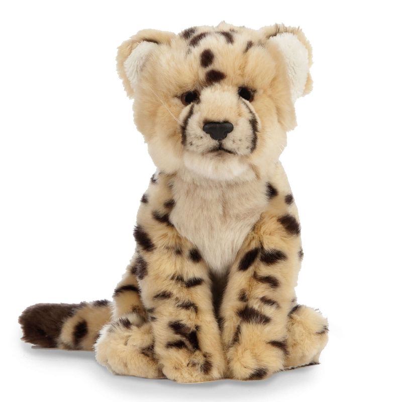 living_nature_cheetah.jpg