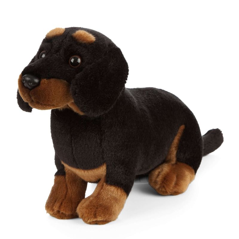 Dachshund_Dog_living_nature_plush_dog.jpg