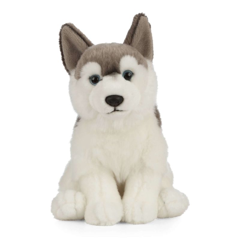 Living_Nature_Husky_Dog.jpg