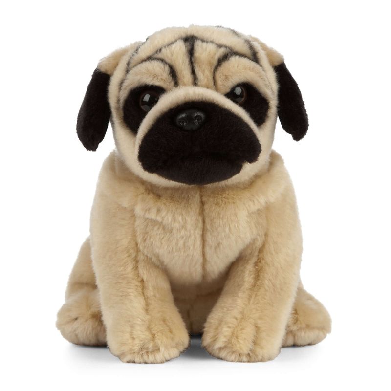 Pug_Plush_dog_living_nature.jpg
