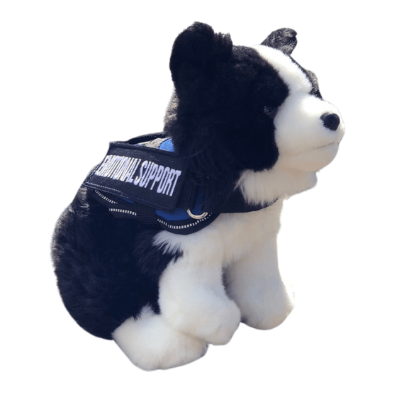 Border_Collie_emotional_support_stuffed_animal.png