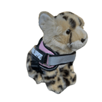 emotional_support_stuffed_animal_cheetah_plushie.png
