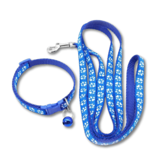 ESSA_Gear_-_Blue_Leash_and_Collar_Set_-_Plush_dog.png