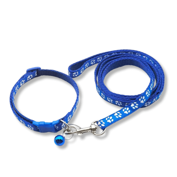 ESSA_Gear_-_Blue_Leash_and_Collar_Set_-_Small_size_for_your_Plush_dog.png