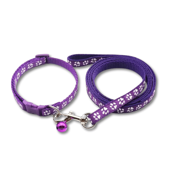 ESSA_Gear_-_Purple_Leash_and_Collar_Set.png