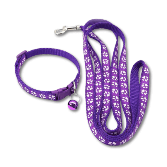 ESSA_Gear_-_Purple_Leash_and_Collar_Set_-_Small_size_for_your_emotional_support_stuffed_animal.png