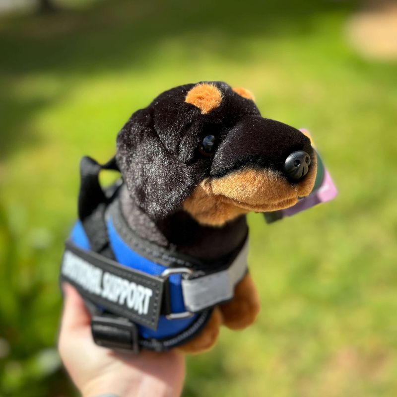 Dachshund_Dog_living_nature_plush_dog_essa.jpg