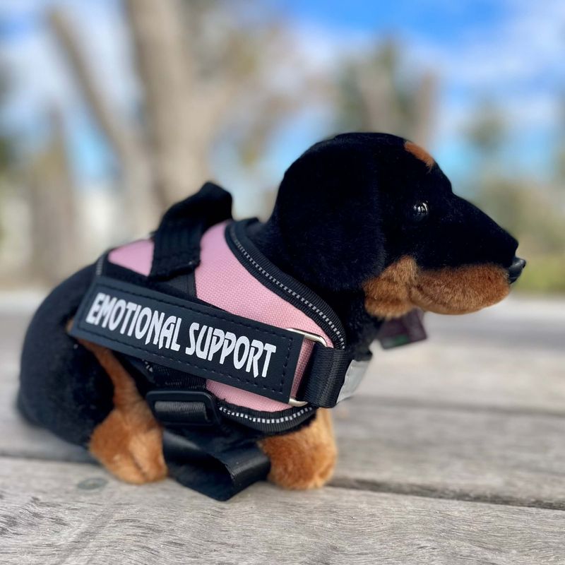 Dachshund_Dog_living_nature_plush_dog.heic
