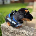 Dachshund_Dog_living_nature_plush_dog_blue_essa_gear.jpg