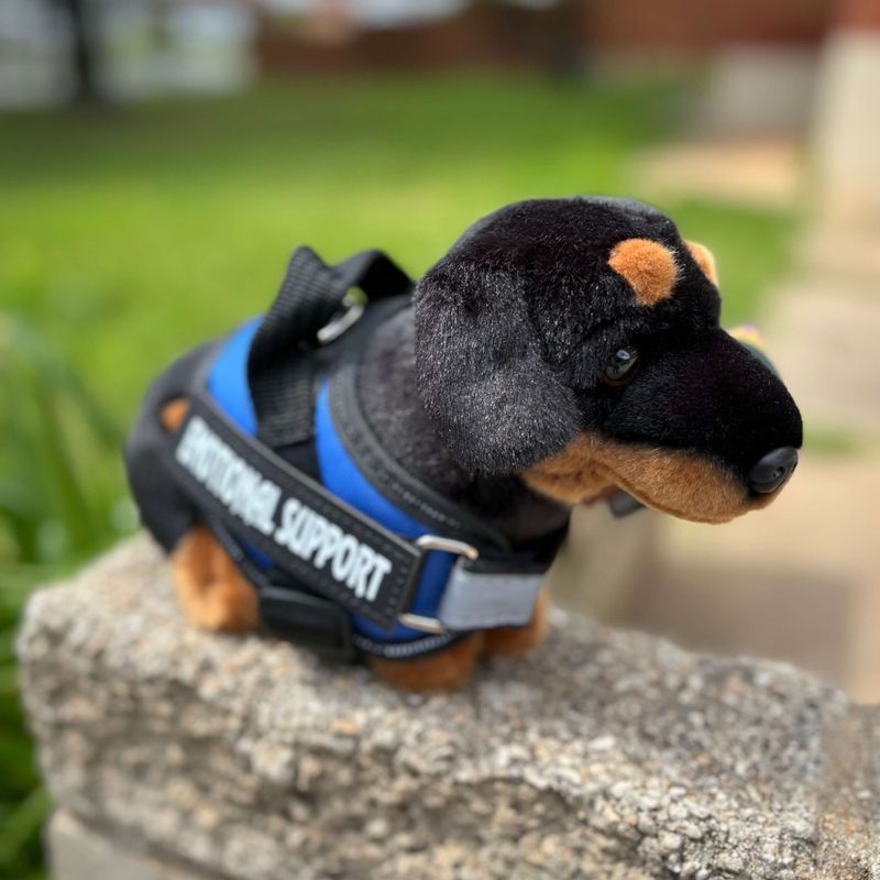 Dachshund_Dog_living_nature_plush_dog_blue_essa_gear.jpg