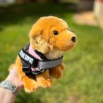 Golden_retriever_living_nature_emotional_support_stuffed_animal.jpg