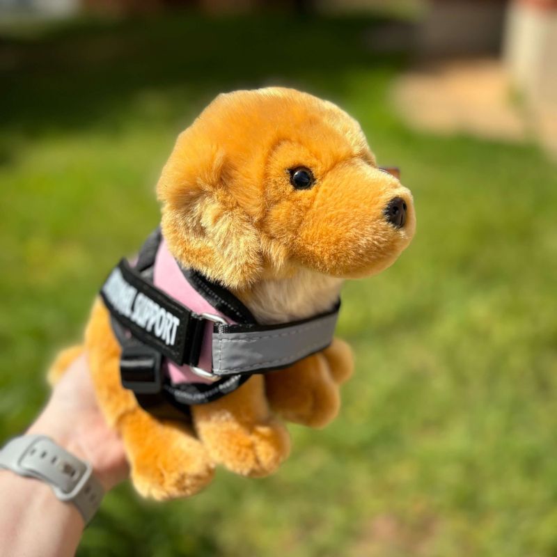Golden_retriever_living_nature_emotional_support_stuffed_animal.jpg