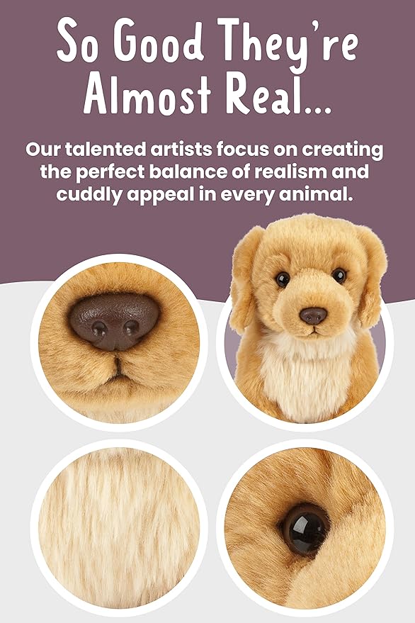 Golden_retriever_living_nature_plush_dog_info.jpg
