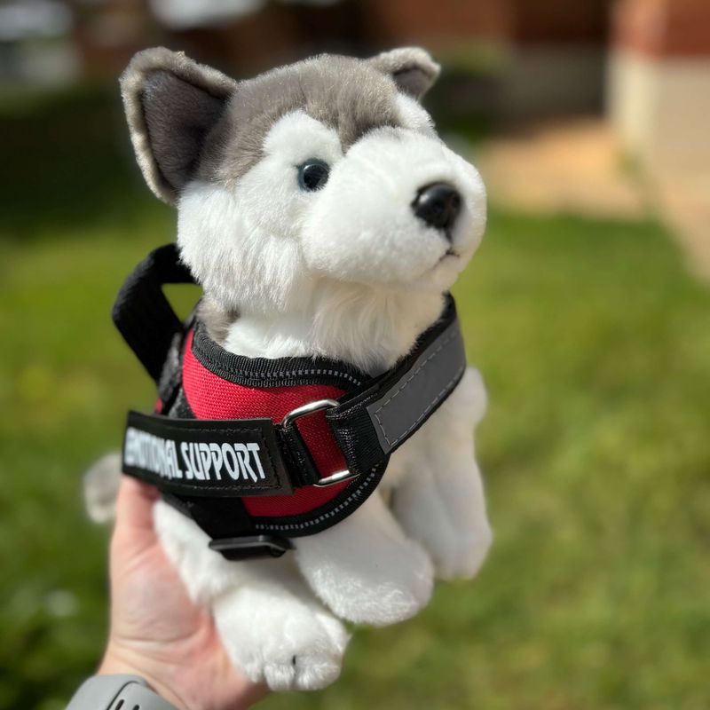 Plush_Husky_dog_living_nature_emotional_support_stuffed_animal_-_essa_gear.jpg