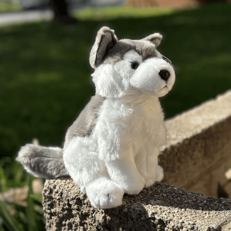 Plush_Husky_dog_living_nature_emotional_support_stuffed_animal.heic