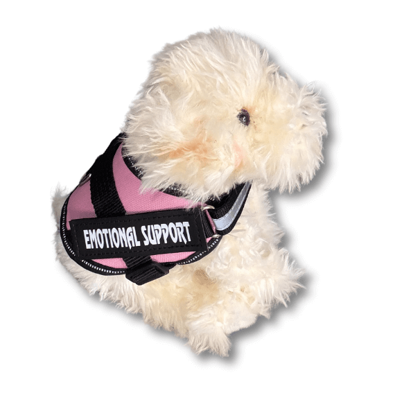 Labradoodle_plush_dog_living_nature_emotional_support_stuffed_animal_pink_essa_gear.png