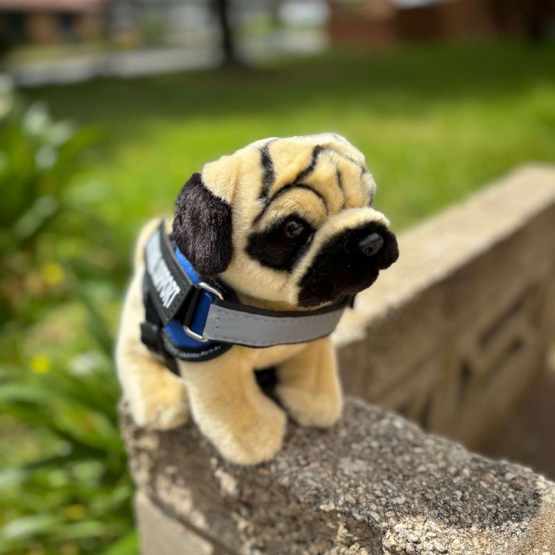Pug_Plush_dog_living_nature_emotional_support_plushie.jpg