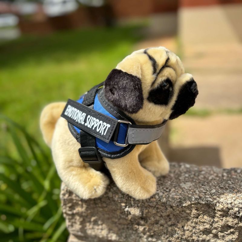 pug_plushie_3.jpg