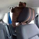 ORTGGPMON_GoGoPillows_LIF_web_b.jpg
