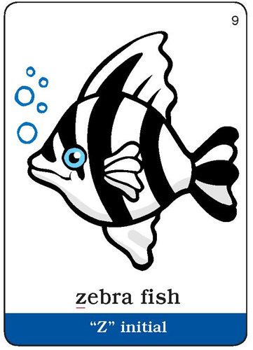 image__35654.png