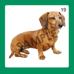 image__56310.png