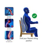 Back_Rest_Full_Chair_Seat_Support_Back_Pain_Tynor_Australia_0.jpg
