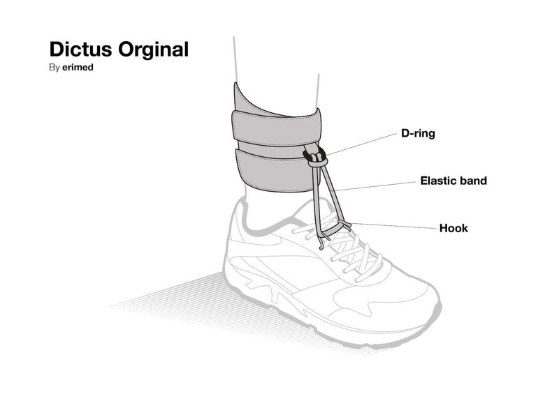 0005656_dictus-band.jpg